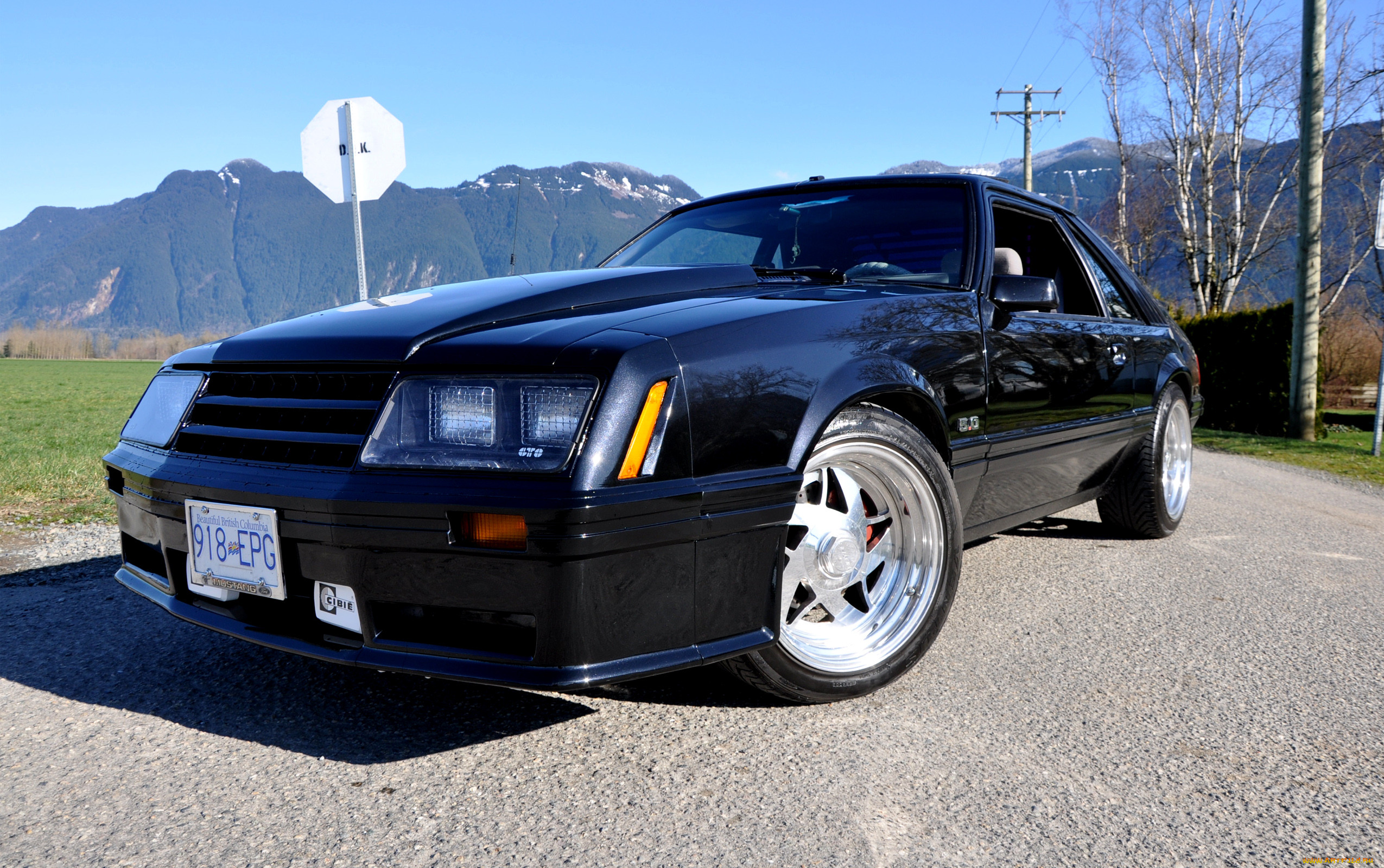 , mustang